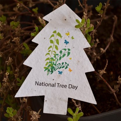 Tree Tag